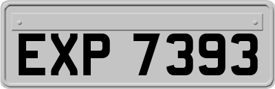 EXP7393