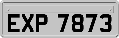 EXP7873