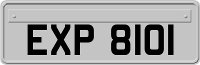 EXP8101
