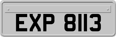 EXP8113