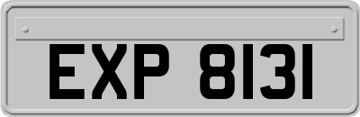 EXP8131