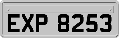 EXP8253