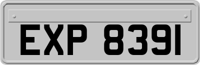 EXP8391
