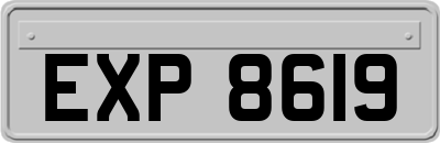 EXP8619
