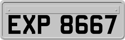 EXP8667