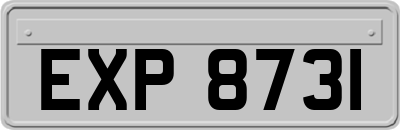 EXP8731