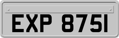 EXP8751