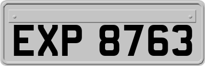 EXP8763