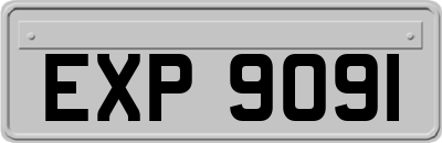 EXP9091
