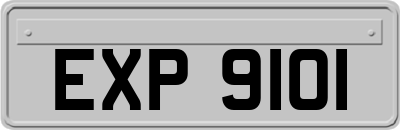EXP9101