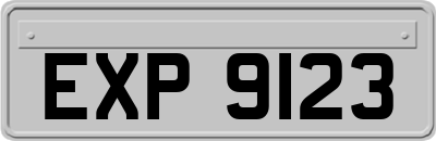 EXP9123