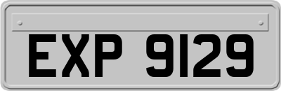 EXP9129