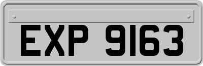 EXP9163