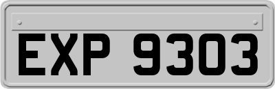 EXP9303