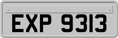 EXP9313