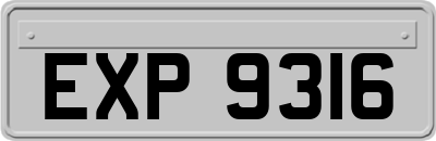 EXP9316