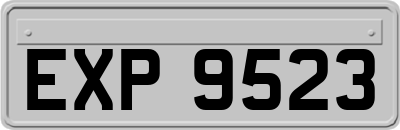 EXP9523