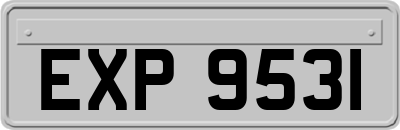 EXP9531