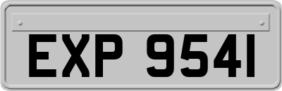 EXP9541
