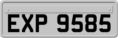 EXP9585