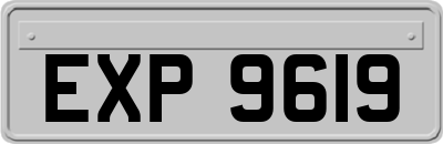 EXP9619