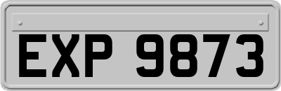 EXP9873