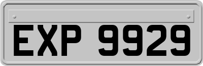 EXP9929