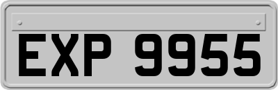 EXP9955
