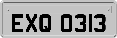 EXQ0313