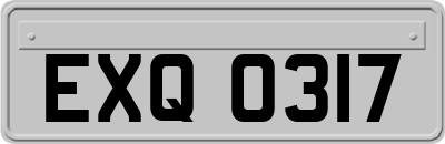 EXQ0317