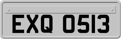 EXQ0513