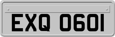 EXQ0601