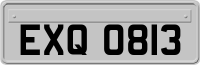 EXQ0813