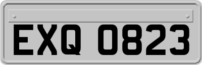 EXQ0823