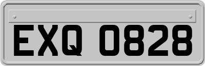 EXQ0828