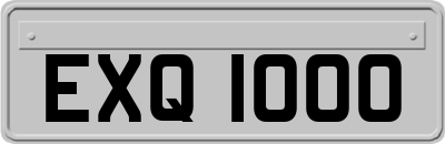 EXQ1000