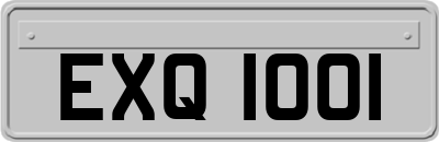 EXQ1001