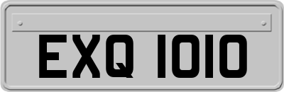 EXQ1010