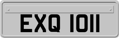 EXQ1011