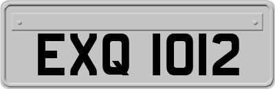 EXQ1012