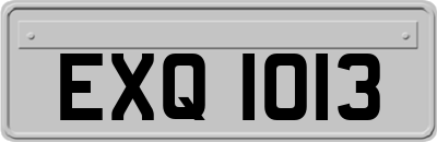 EXQ1013