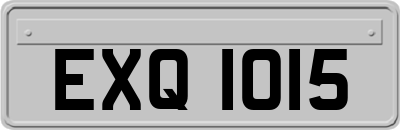 EXQ1015