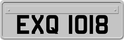 EXQ1018