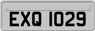 EXQ1029