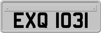 EXQ1031