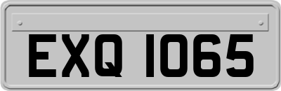 EXQ1065