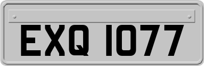 EXQ1077