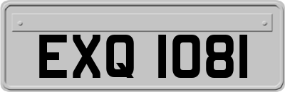 EXQ1081