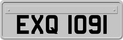 EXQ1091