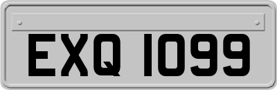 EXQ1099